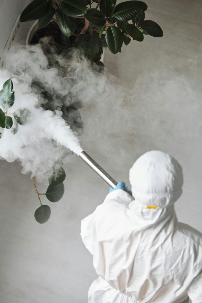 pexels-photo-4176548-4176548 Person in protective gear fumigating an indoor plant, emitting smoke.